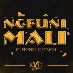 KXD BEATS – Ngfuni Mali ft Money Ostrich