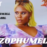 Kabza De Small – Ndizophumelela ft Nia Pearl