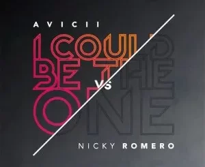 Avicii & Nicky Romero – I Could Be the One (Pro-Tee remix)