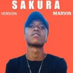 Marvin Larrys – Sakura