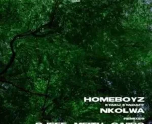 Homeboyz & Kyaku Kyadaff – Nkolwa (Caiiro Remix)