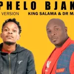 King Salama x Dr Malinga – Bophelo Bjaka (Official Audio)