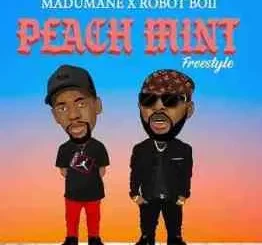 Madumane, Robot Boii, Soa Mattrix & Dj Maphorisa – Peach Mint (Freestyle)