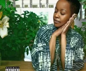 Ms Nthabi – D.I.A.M.O.N.D.S ft. Ziyon
