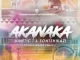 Sontshikazi & Kinetic T – Akanaka (TorQue MuziQ Remix)
