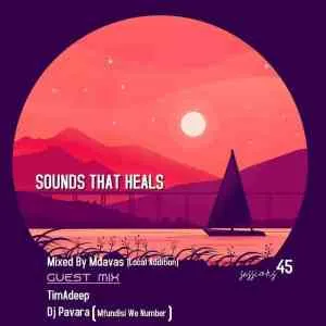 Dj Pavara (Mfundisi we Number) – Sounds That Heals Session (Guest Mix)