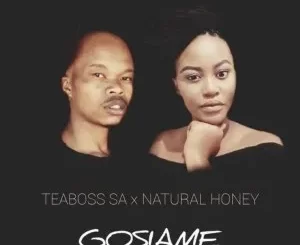 Teaboss SA & Natural Honey – Gosiame