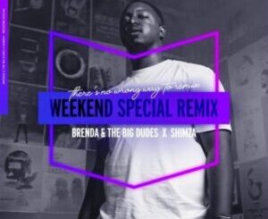 Brenda-The-Big-Dudes-–-Weekend-Special-Shimza-Remix-mp3-download-zamusic-300x300