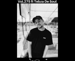 Kid-Fonque-Tebza-De-Soul-–-Selective-Styles-Vol.275-mp3-download-zamusic-300x300