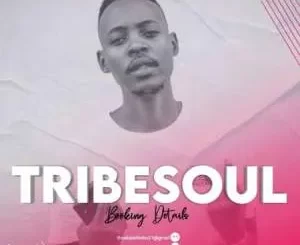 TribeSoul – Static (Main Mix)