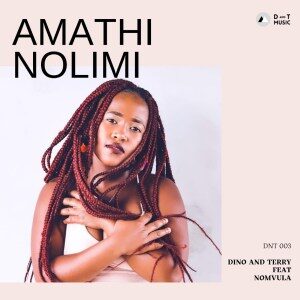 Dino-Terry-Nomvula-SA-–-Amathi-Nolimi-mp3-download-zamusic