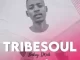 TribeSoul – Pray (Main Mix)