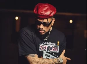 AKA gets robbed while crowd-surfing in Malawi (Video)