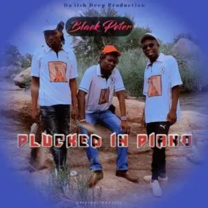Black Peter – Plucked In Piano