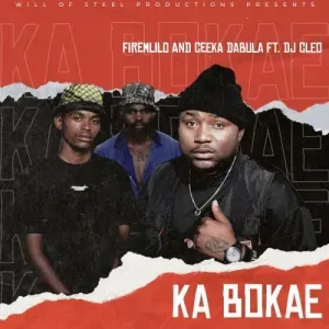 FireMlilo & Ceeka Dabula – Ka Bokae ft. DJ Cleo