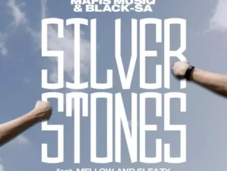 Mafis MusiQ & Black SA – Silver Stones ft. Mellow & Sleazy