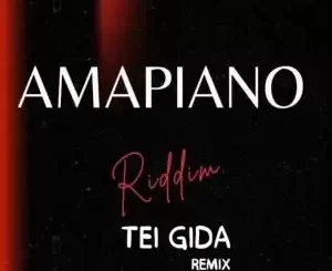 DJBaay – Tei GidA (Amapiano Remix)