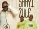 Heavy K – Shayi Zule ft. Murumba Pitch