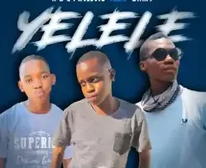 N & S Projects – Yelele ft. DT.MO