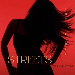 Ndamu TM Music – Streets (Amapiano Remix) ft. Loxiie De