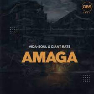 Vida-soul & Giant Rats – Amaga (Original Mix) [Mp3]