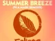 N’Dinga Gaba, Sahffi – Summer Breeze (Fka Mash Remixes)