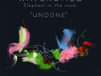 Watershed – Elephant in the Room