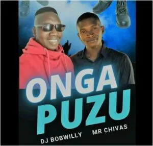 DJ BobWilly & Mr Chivas – Onga Phuzu