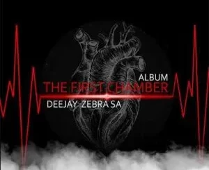 Deejay Zebra SA – The First Chamber