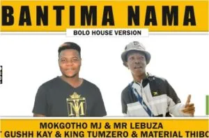 Mokgotho MJ & Mr Lebuza – Bantima Nama Ft. Gushh Kay, King Tumzero & Material Thibo