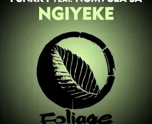 Funkky – Ngiyeke ft. Nomvula SA