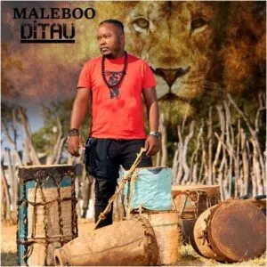 Maleboo – Ditau