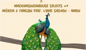 Mörda & Thakzin – Amen ft. Lyrik Shoxen