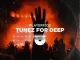Player1505 – Tunez For Deep