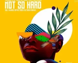 Vesant Q, Thab De Soul, Neo Dube – Not So Hard (Incl. Remixes)