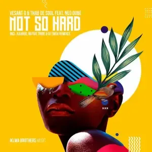 Vesant Q, Thab De Soul, Neo Dube – Not So Hard (Incl. Remixes)