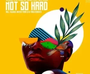 Vesant Q & Thab De Soul – Not So Hard ft. Neo Dube