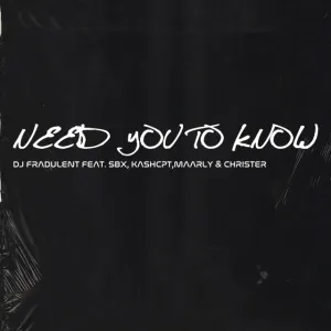 DJ Fradulent – Need you to know ft. SBX, KashCPT, Maarly & Christer