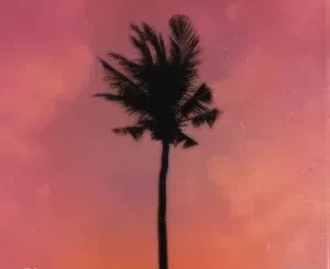 Jay Jody – Purple Palm Trees ft A-Reece, Marcus Harvey