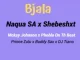 Naqua SA – ‎Bjala ft. Shebeshxt, Phobla On the Beat, Mckay Johnson, Buddy Sax, Prince Zulu & Dj Tiano