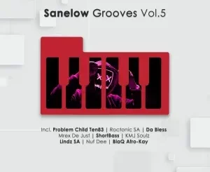 VA – Sanelow Grooves, Vol. 5