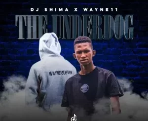 Dj Shima & Wayne11 – The Underdog