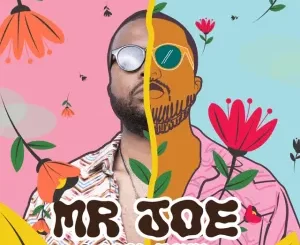 Mr Joe – A Good Time