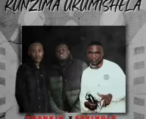 Pushkin & Springle – Kunzima Ukumtshela ft Dash SA, Mankay & Choco Dynasty