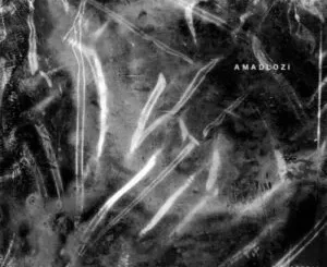 ANATII – Amadlozi ft Lookatups
