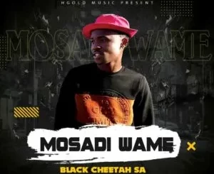 Black Cheetah SA – Mosadi Wame