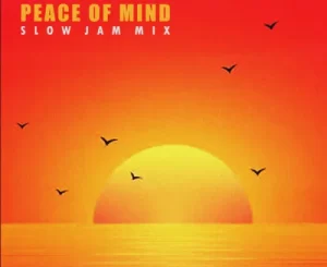 DJ Ace – Peace of Mind Vol 48 (Slow Jam Mix)