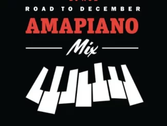 DJ Ace – Road to December 2022 (Amapiano Mix)