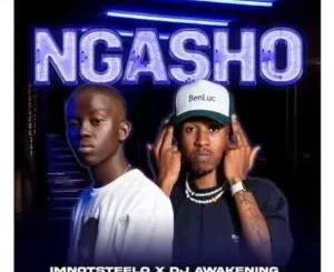 Imnotsteelo & Dj Awakening – Ngasho ft. Musa Keys & Sino Msolo