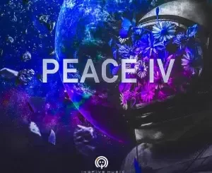 InQfive – PEACE IV